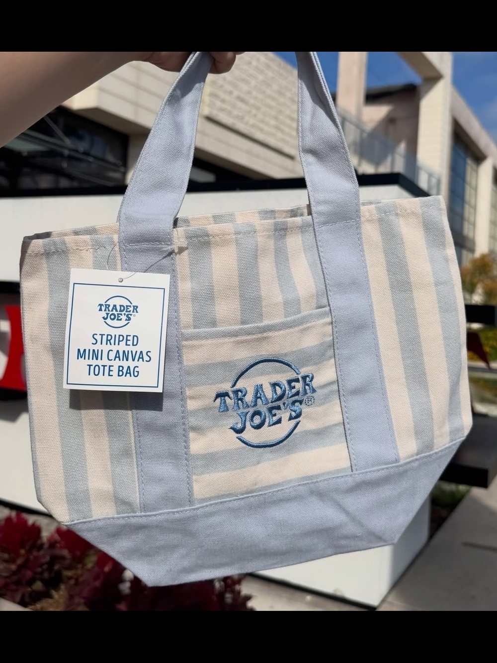 Trader Joe's Summer 2026 Mini Canvas Tote Bag